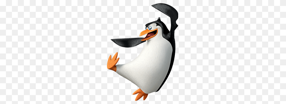 Madagascar Penguins, Animal, Bird, Penguin Free Png Download
