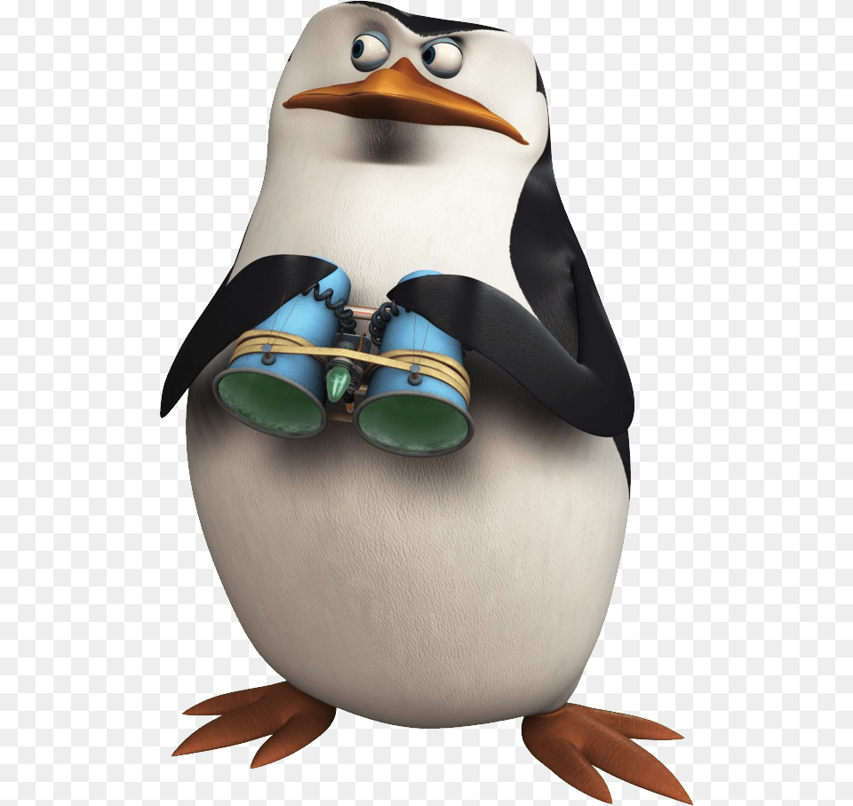 Madagascar Penguins, Animal, Bird, Penguin Free Png Download