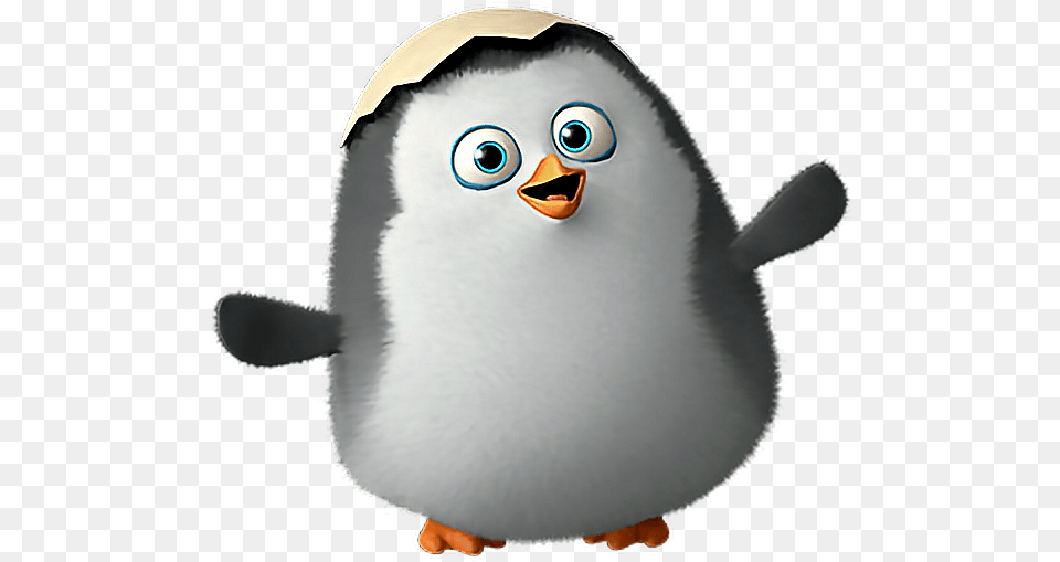 Madagascar Penguins Cute Pinguino De Madagascar Bebe, Animal, Bird, Penguin Free Transparent Png