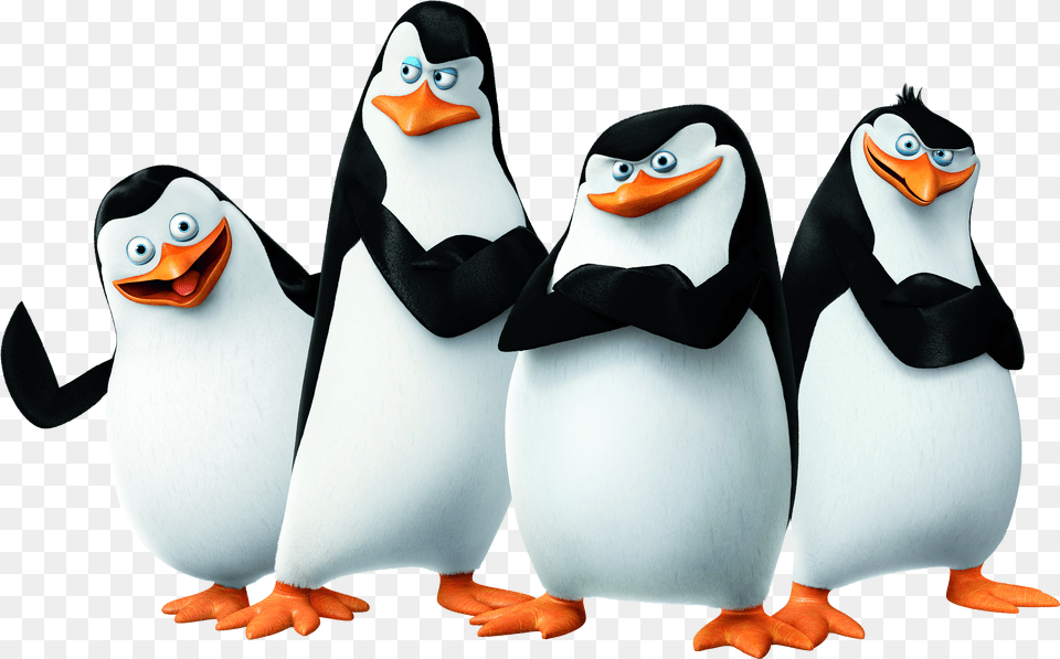 Madagascar Penguins Image Penguins Of Madagascar Free Png Download