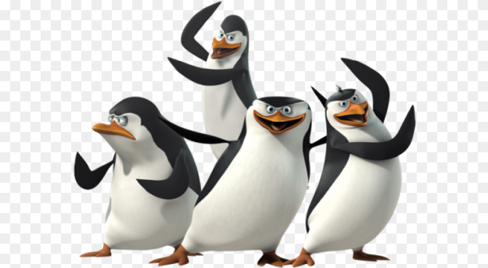Madagascar Penguins Image Penguins Of Madagascar, Animal, Bird, Penguin Free Png Download