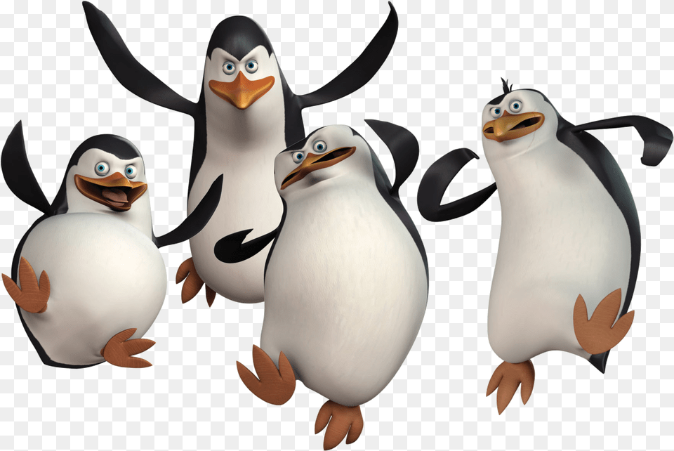 Madagascar Penguins Penguins Of Madagascar, Animal, Bird, Penguin Free Transparent Png