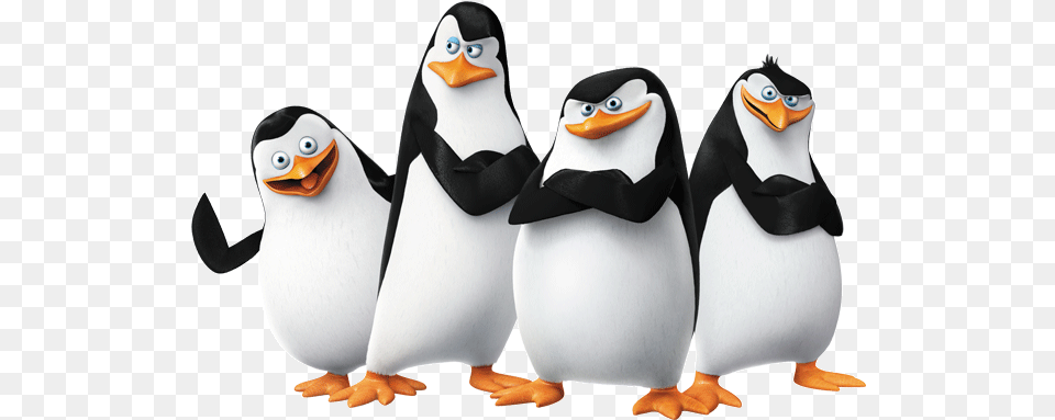 Madagascar Penguins Penguins Of Madagascar, Animal, Bird, Penguin Free Png
