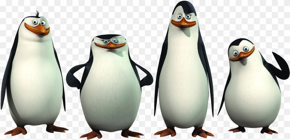 Madagascar Penguins Penguins Of Madagascar Clipart, Animal, Bird, Penguin Free Transparent Png