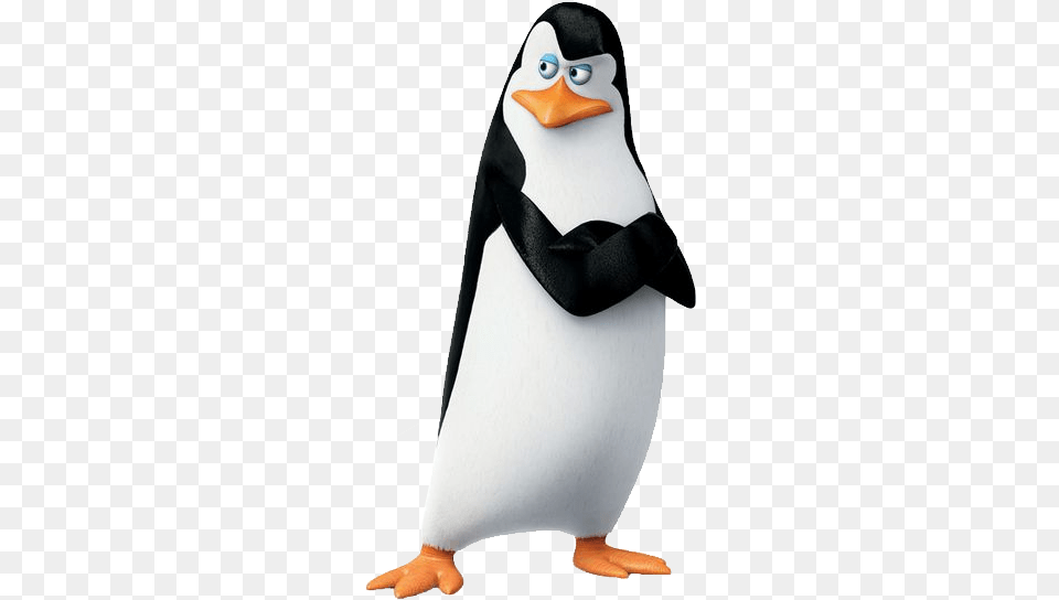 Madagascar Penguins Penguins Of Madagascar Adult, Female, Person, Woman Free Transparent Png