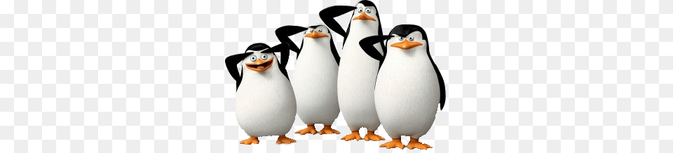 Madagascar Penguins Saluting, Animal, Bird, Penguin Free Transparent Png