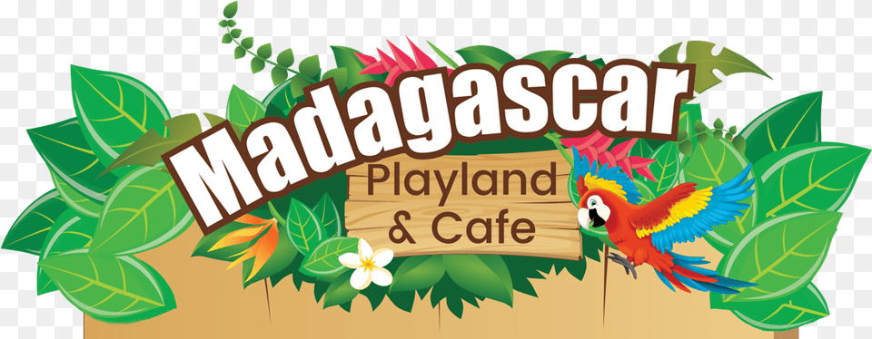 Madagascar Playland School Holidays, Vegetation, Leaf, Plant, Outdoors Free Transparent Png