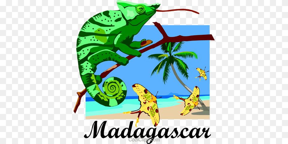 Madagascar Postcard Design Royalty Vector Clip Art, Animal, Iguana, Lizard, Reptile Free Png Download