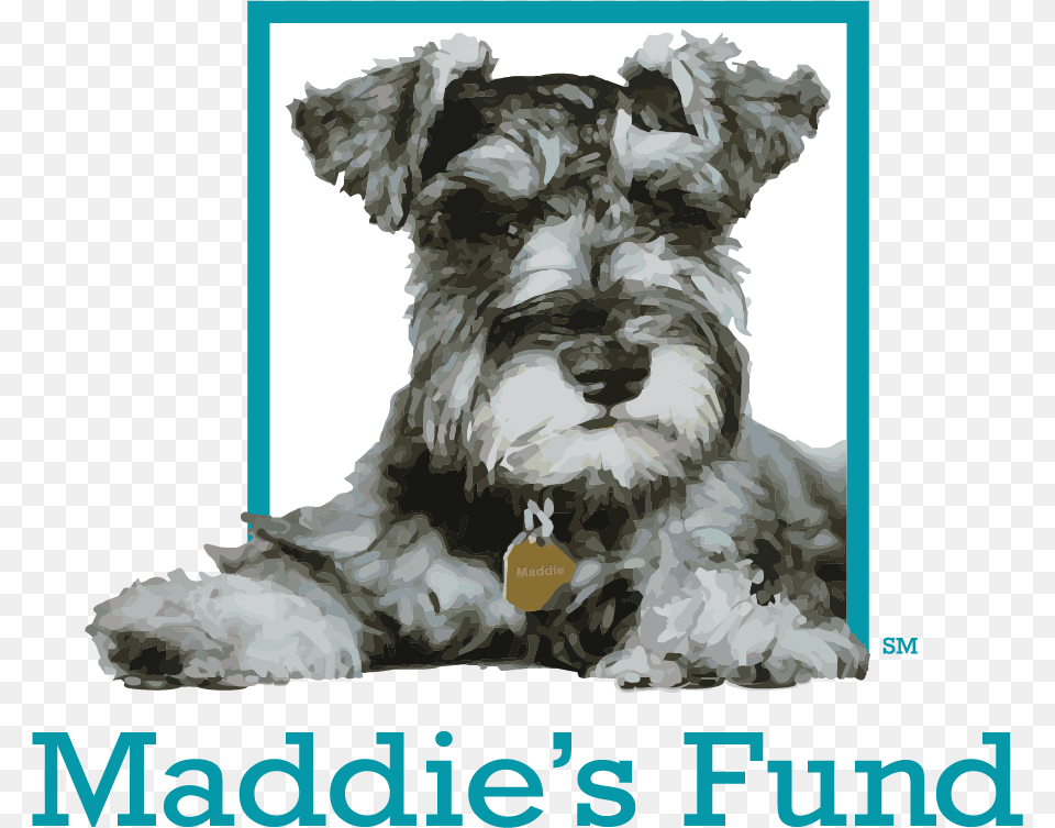 Maddie S Fund Logo Maddies Fund, Adult, Wedding, Person, Woman Png Image
