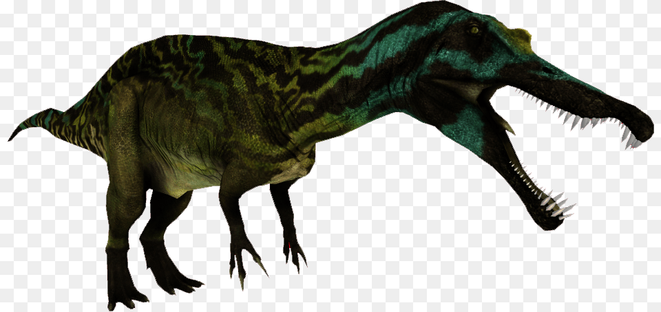 Made A Suchomimus From Mm39s Spinosaurus If It39s Pd Zoo Tycoon 2 Suchomimus, Animal, Dinosaur, Reptile, T-rex Png Image