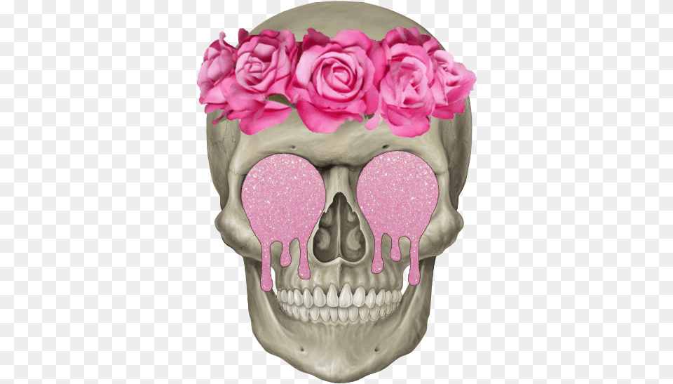 Made By Mysoulistransparent Via Tumblr By Skeleton Head, Plant, Petal, Person, Flower Png Image