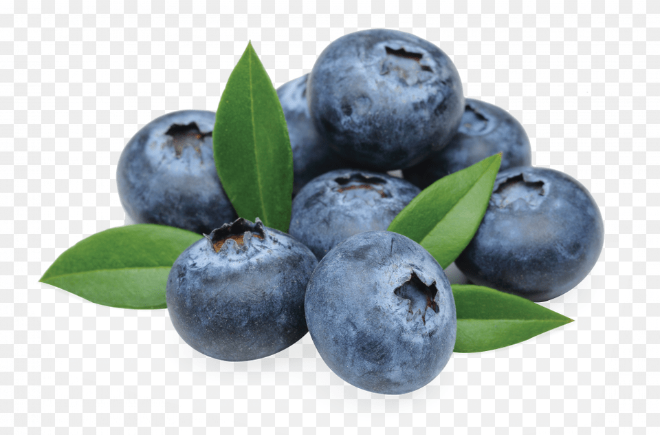Made From High Quality Meat Healthy Fats And Oils Huckleberry, Berry, Blueberry, Food, Fruit Free Transparent Png