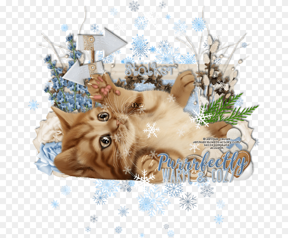 Made Using Ib Ashevans Feb2019 Tabby Cat, Outdoors, Nature, Animal, Pet Png