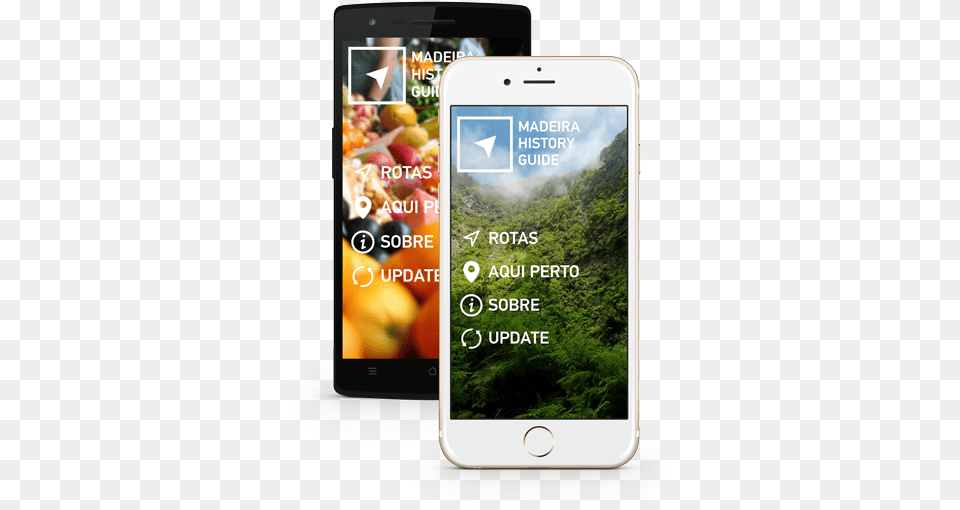 Madeira Experience Smartphone, Electronics, Mobile Phone, Phone Png