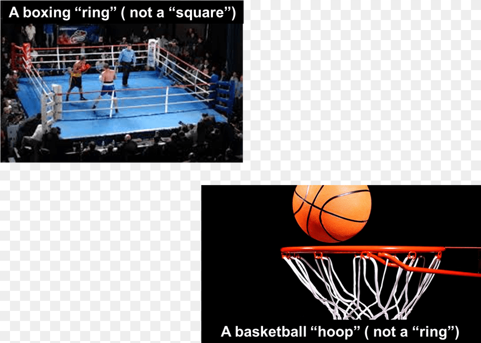 Madison Square Garden Boxing Ring, Person, Ball, Basketball, Basketball (ball) Png Image