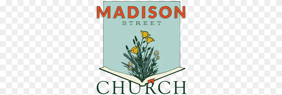 Madison Street Church North Cypress Medical Center, Book, Publication, Comics, Novel Free Transparent Png