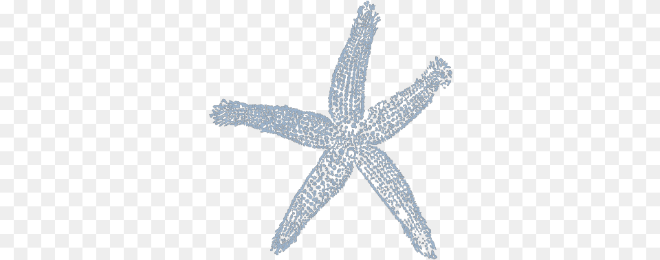 Maehr Blue Starfish Svg Clip Art For Web Lovely, Animal, Sea Life, Invertebrate Free Transparent Png