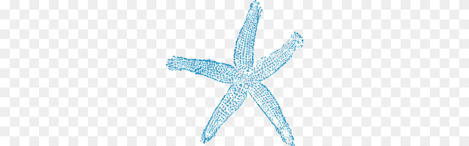 Maehr Green Starfish Clip Art, Animal, Sea Life, Invertebrate, Person Png