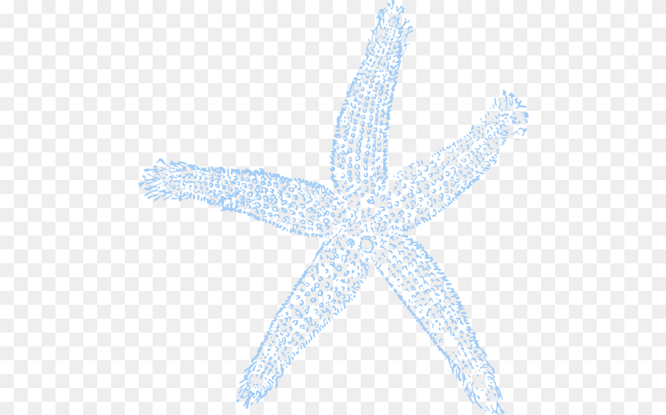 Maehr Green Starfish Svg Clip Arts, Animal, Sea Life, Invertebrate Png