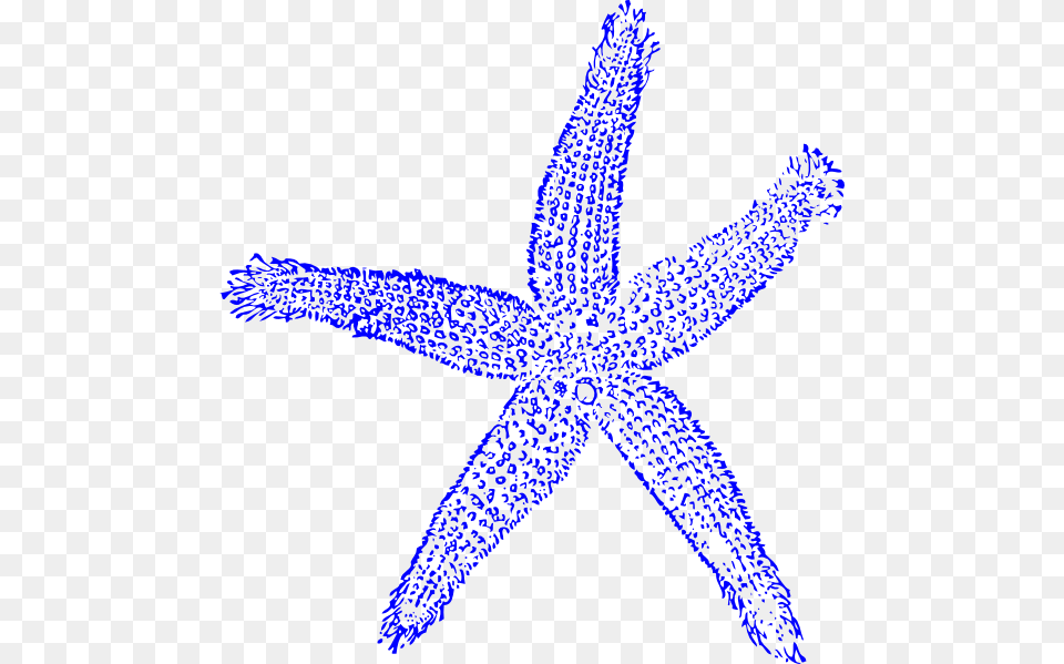 Maehr Green Starfish Svg Clip Arts 564 X 599 Px, Animal, Sea Life, Invertebrate Free Transparent Png