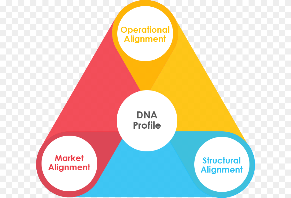 Maestro Helps You Map The Dna Profile And Alignment Marketplanet, Triangle Free Png Download