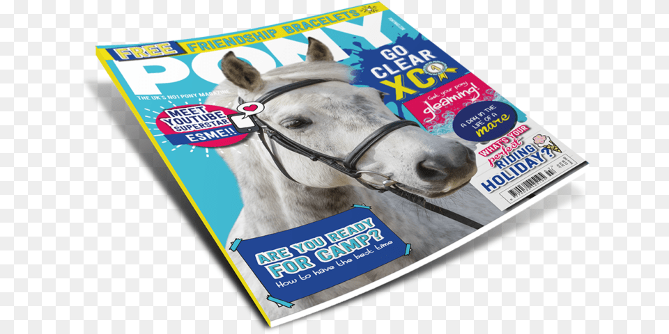 Magazine File Stallion, Publication, Animal, Horse, Mammal Free Transparent Png