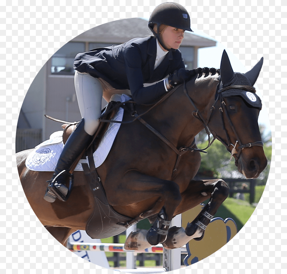 Maggie Hill Testimonial Equitation, Horse, Animal, Equestrian, Person Png