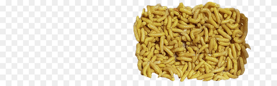 Maggots, Food, Macaroni, Pasta, Produce Free Transparent Png