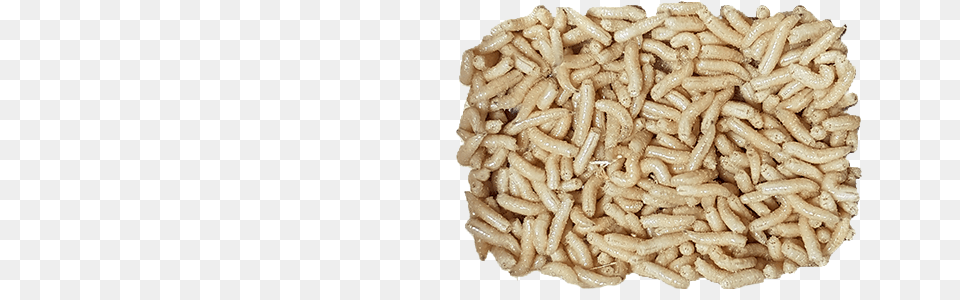 Maggots, Food, Grain, Produce, Rice Png Image