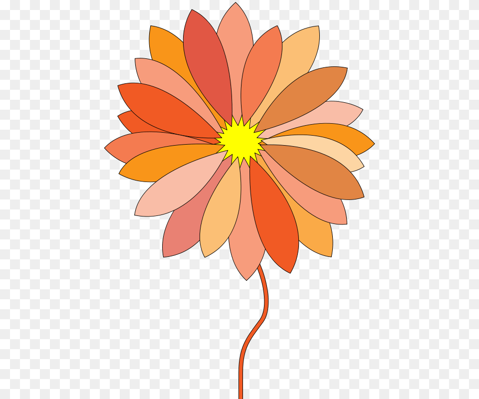 Magiaaron Cartoon Flower, Dahlia, Daisy, Petal, Plant Png Image