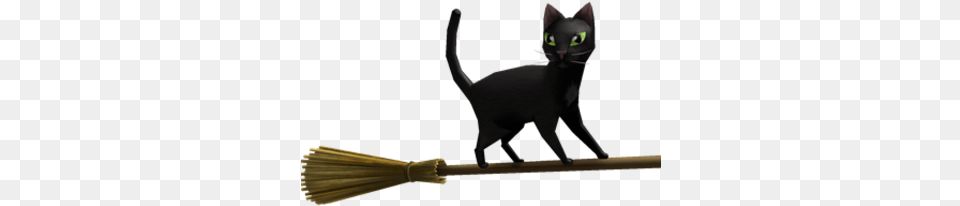 Magic Broom Black Cat Black Cat, Animal, Mammal, Pet Free Png