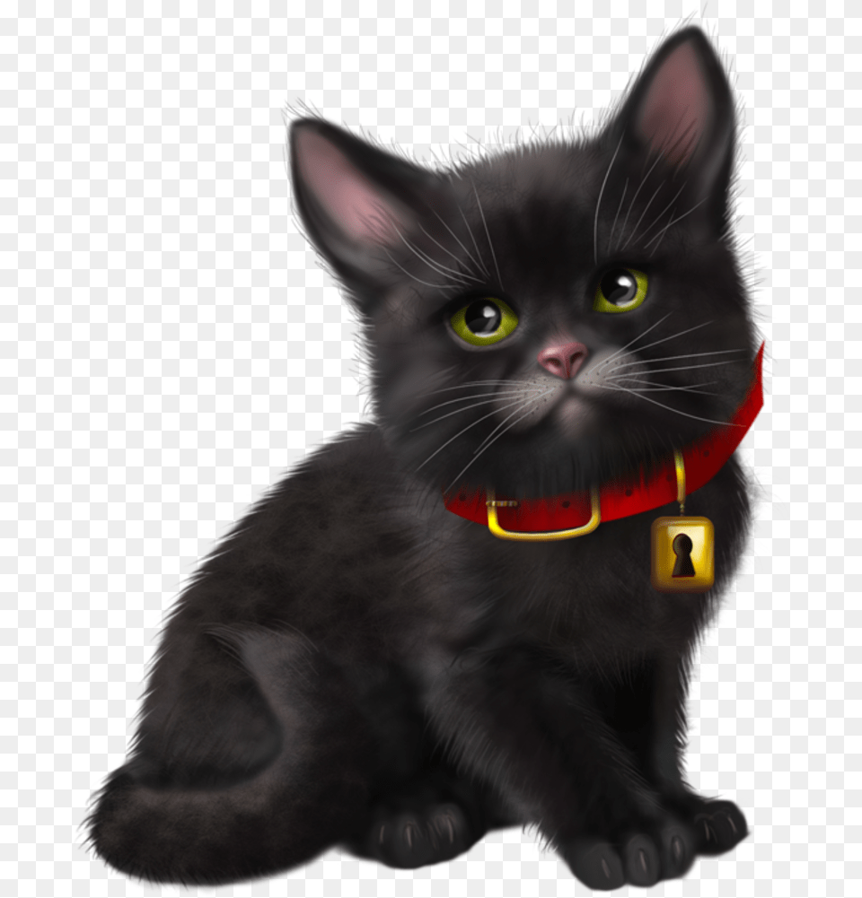Magic Cat Gifs Cat Art Tube Cute Cats Dog Cat Transparente En Tube Black Cat Art, Animal, Mammal, Pet, Black Cat Free Transparent Png