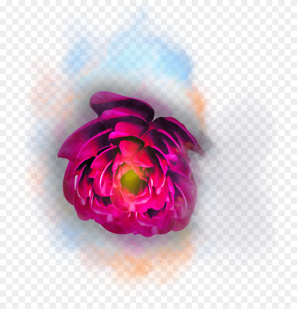 Magic Flower Artificial Flower, Accessories, Fractal, Ornament, Pattern Free Png