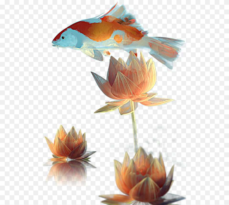 Magic Lotus Automaton Water Lily, Animal, Fish, Sea Life, Flower Png