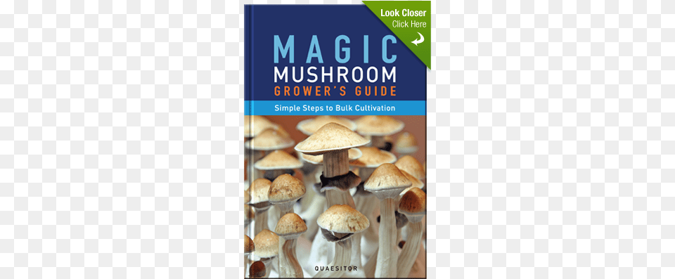Magic Mushroom Grower39s Guide Simple Steps To Bulk, Fungus, Plant, Burger, Food Png Image