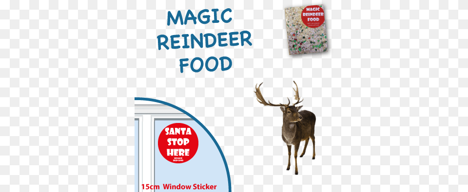 Magic Santa Key Reindeer Christmas Card, Animal, Deer, Mammal, Wildlife Png