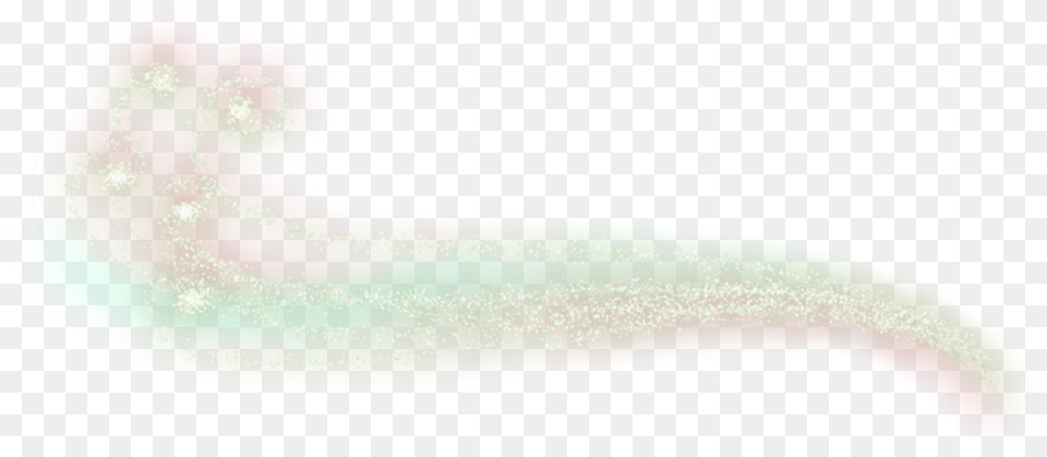 Magic Sparkle Marine Invertebrates Free Transparent Png