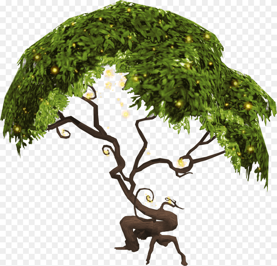 Magic Trees, Vegetation, Tree, Plant, Person Free Png Download