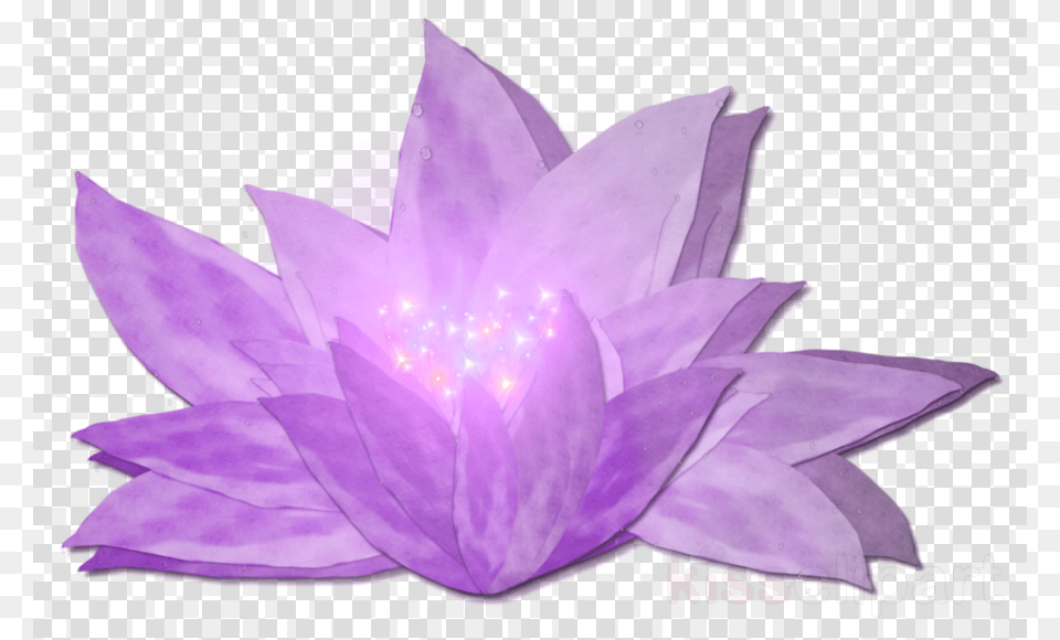 Magical, Flower, Plant, Purple, Lily Free Png Download