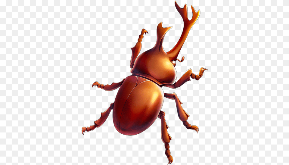 Magical Beetle Beetle Insect Animal, Invertebrate, Dung Beetle Free Transparent Png