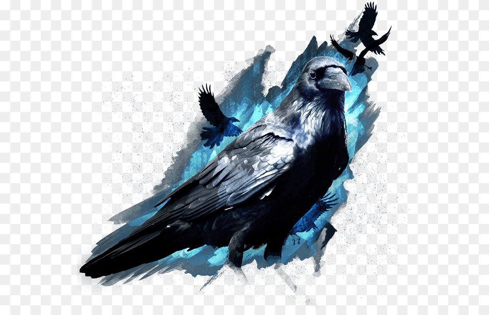 Magical Raven, Animal, Bird, Crow Png Image