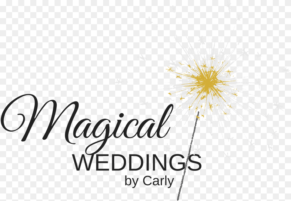 Magical Weddings Calligraphy, Fireworks, Flower, Plant, Flare Free Transparent Png