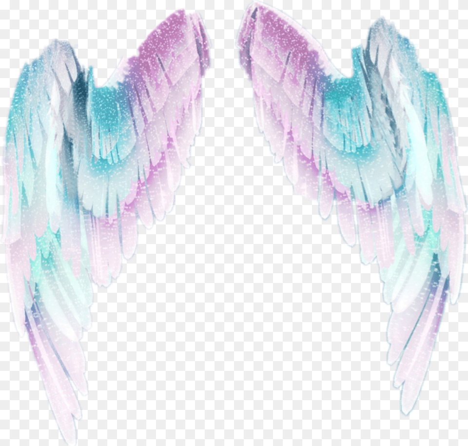 Magical Wings Magic Pastel Supernatural Close Up, Angel, Animal, Bird Png Image