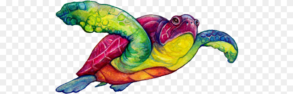 Magicful Home Rainbow Sea Turtle Mug, Animal, Reptile, Sea Life, Tortoise Png Image