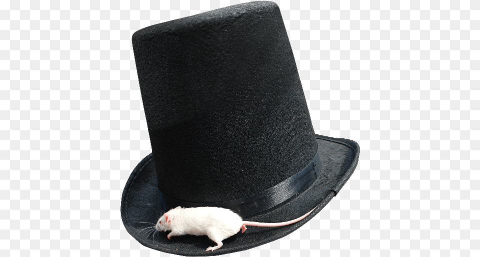 Magician Top Hat With White Mouse Mouse, Clothing, Animal, Mammal, Rat Free Png