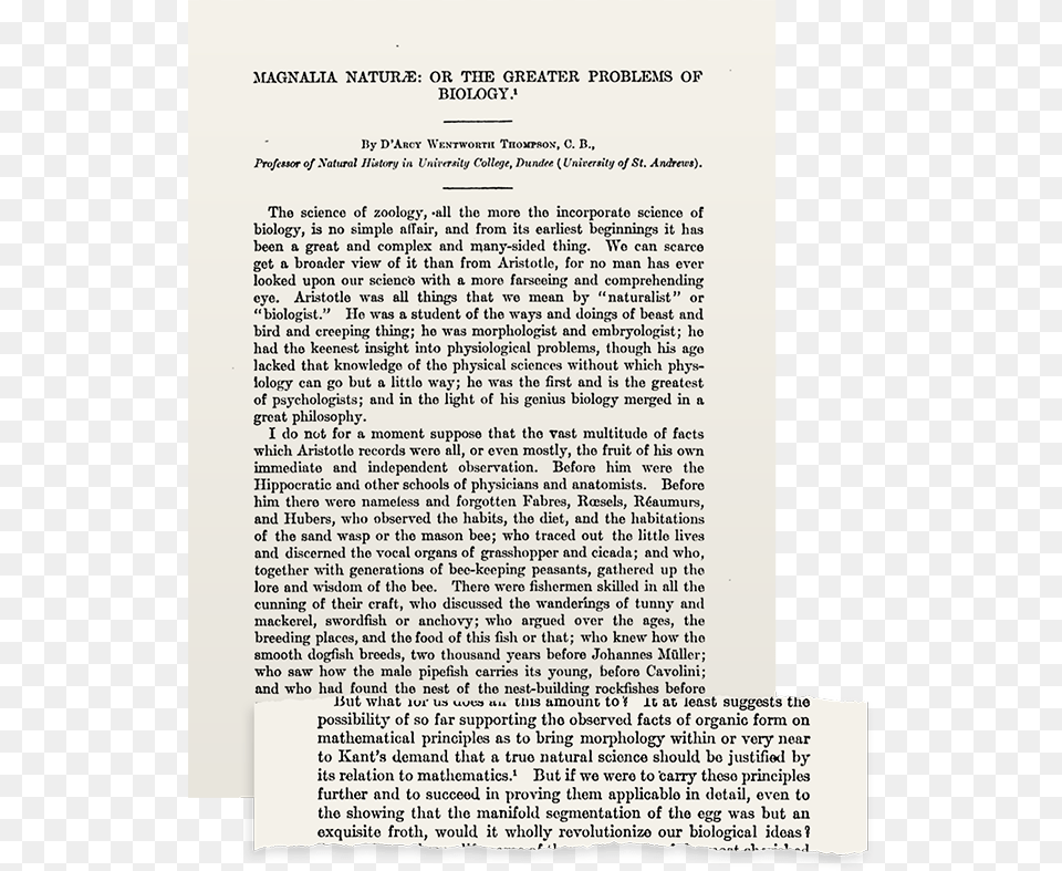 Magnalia Naturae Magnalia Christi Americana, Letter, Page, Text Free Transparent Png