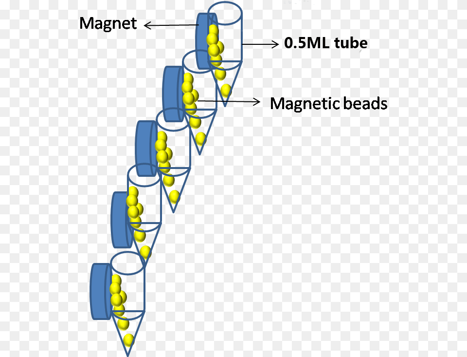 Magnetic Separator, Ball, Sport, Tennis, Tennis Ball Png