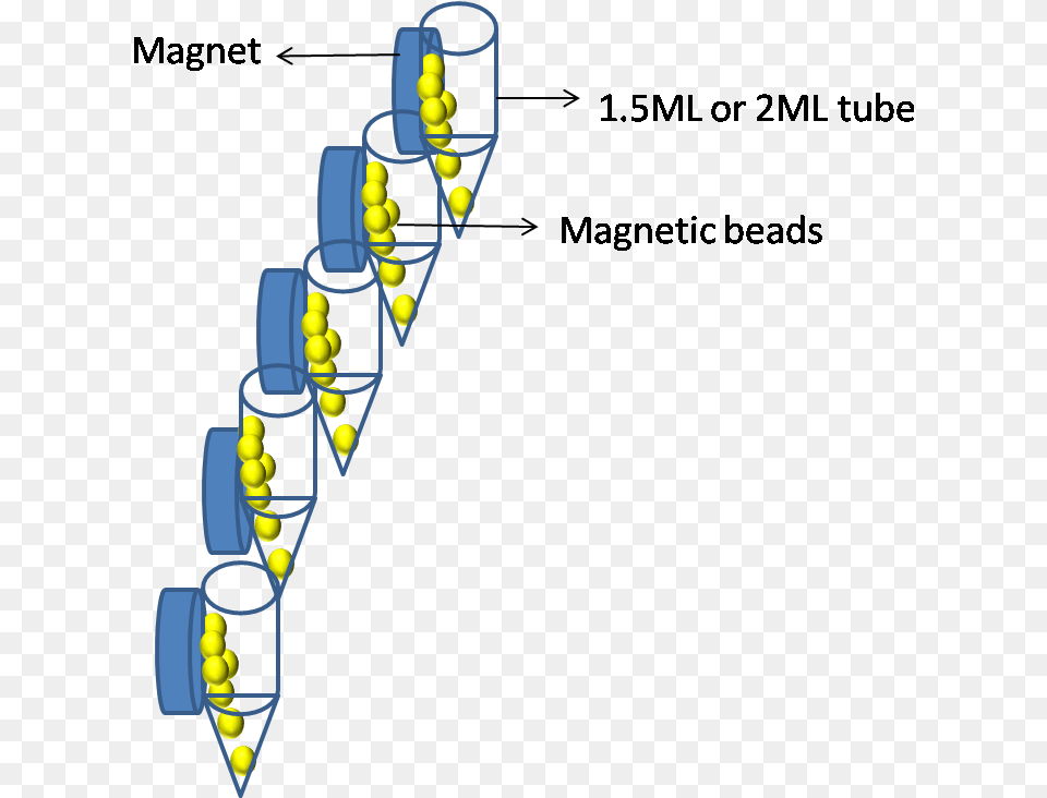 Magnetic Separator Diagram, Ball, Sport, Tennis, Tennis Ball Free Transparent Png