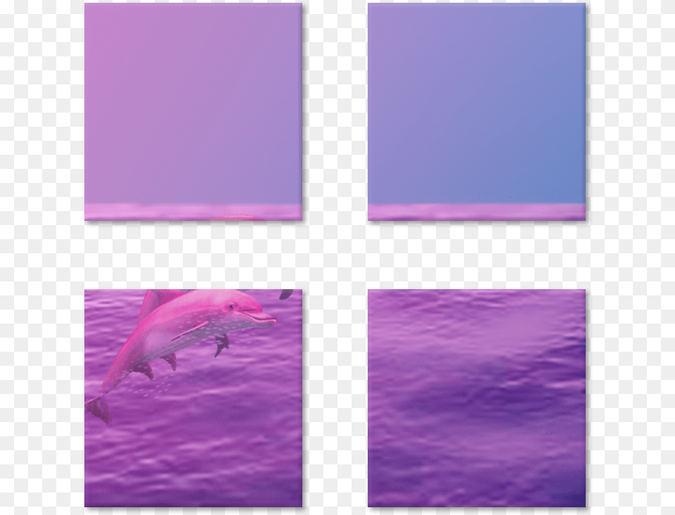 Magneto Dolphin De Renan Oliveirana Common Dolphins, Water, Aquatic, Art, Collage Free Png Download