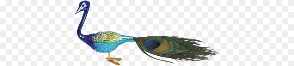 Magnificent Peacock Peafowl, Animal, Beak, Bird, Smoke Pipe Free Png